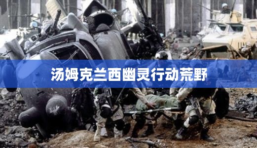 汤姆克兰西《幽灵行动》系列游戏深度解析与战术指南