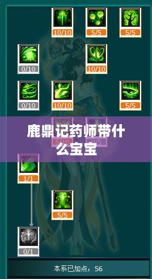 《鹿鼎记》药师角色加点攻略，提升治疗效果与生存能力