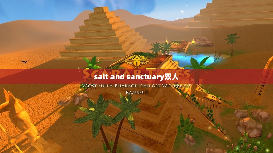 Salt and Sanctuary,探索神秘世界的深度体验之旅