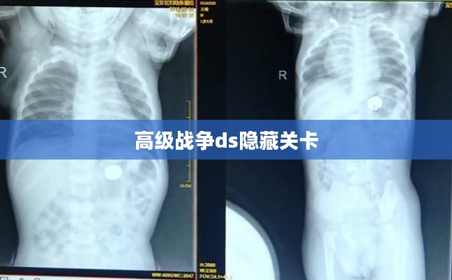 高级战争DS战术技巧与游戏体验深度解析