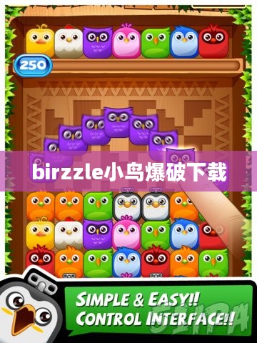 Birzzle策略，提升网站排名的创新SEO解决方案解析