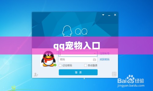 QQ宠物客户端使用技巧与性能优化解析
