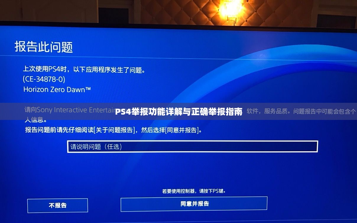 PS4举报功能详解与正确举报指南