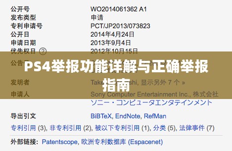 PS4举报功能详解与正确举报指南