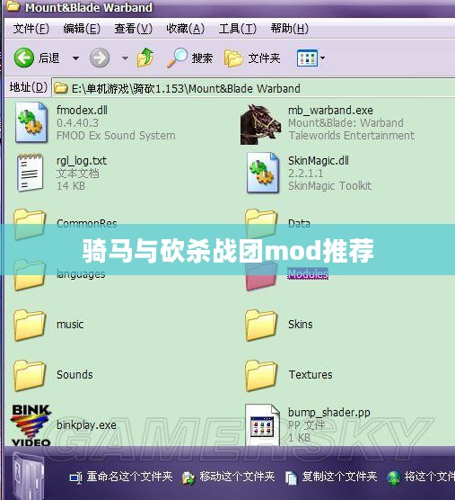 深入解析骑马与砍杀战团mod：战术、策略与优化体验