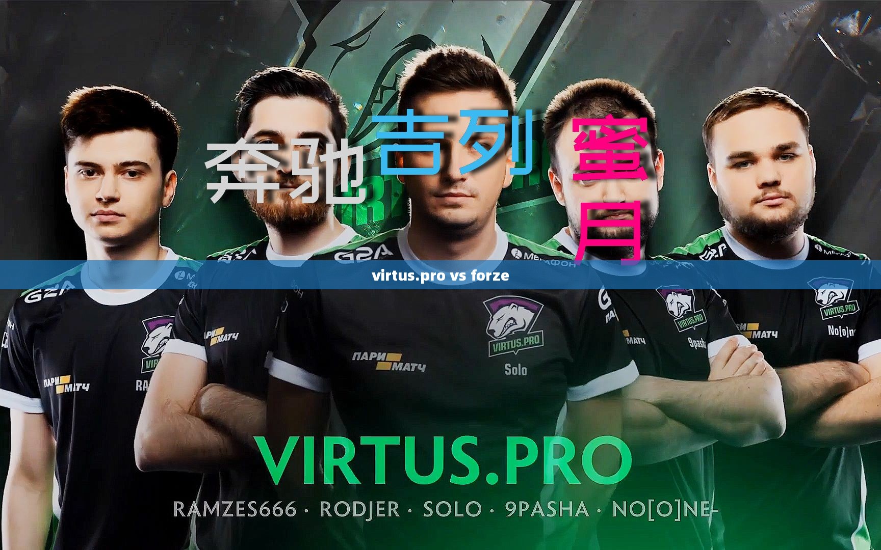 Virtus.pro：电子竞技领域的传奇战队深度解析