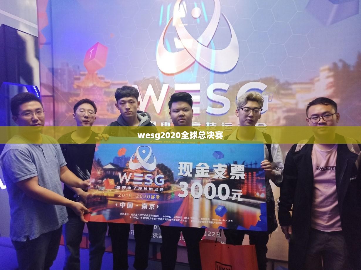 we vs fnatic：全球流策略的深度分析与对比