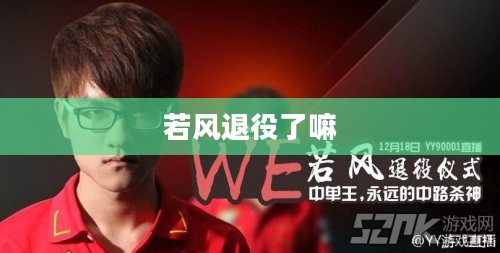 we若风退役：电子竞技传奇的谢幕与影响分析