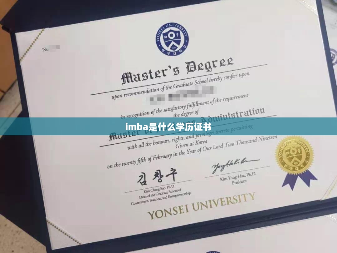 深入解析Imba：提升网络竞争力的核心策略