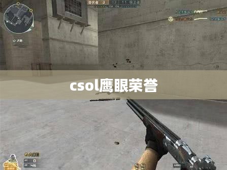 csol鹰眼技术，提升网络安全防护新维度