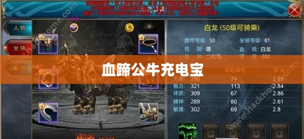 血蹄公牛饲养与管理：特点与应用全解析