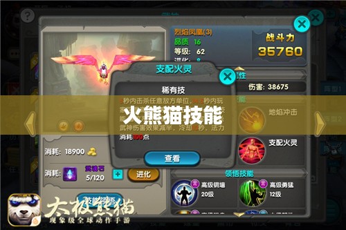 火熊猫出装策略与战斗力提升解析