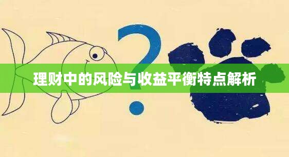 理财中的风险与收益平衡特点解析