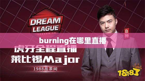 burning直播间：互动体验与内容特色深度解析