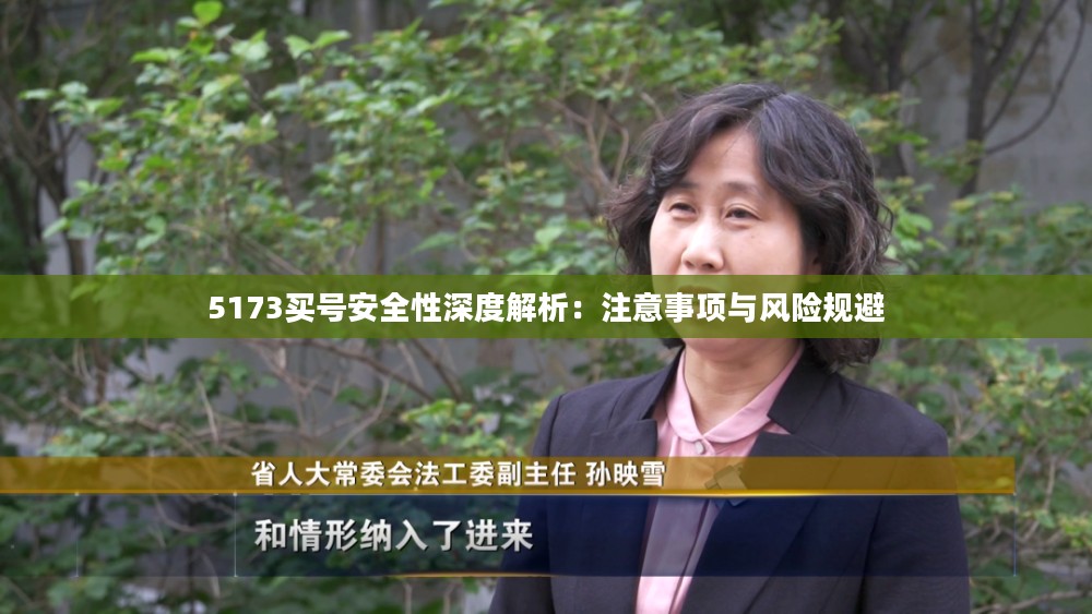 5173买号安全性深度解析：注意事项与风险规避