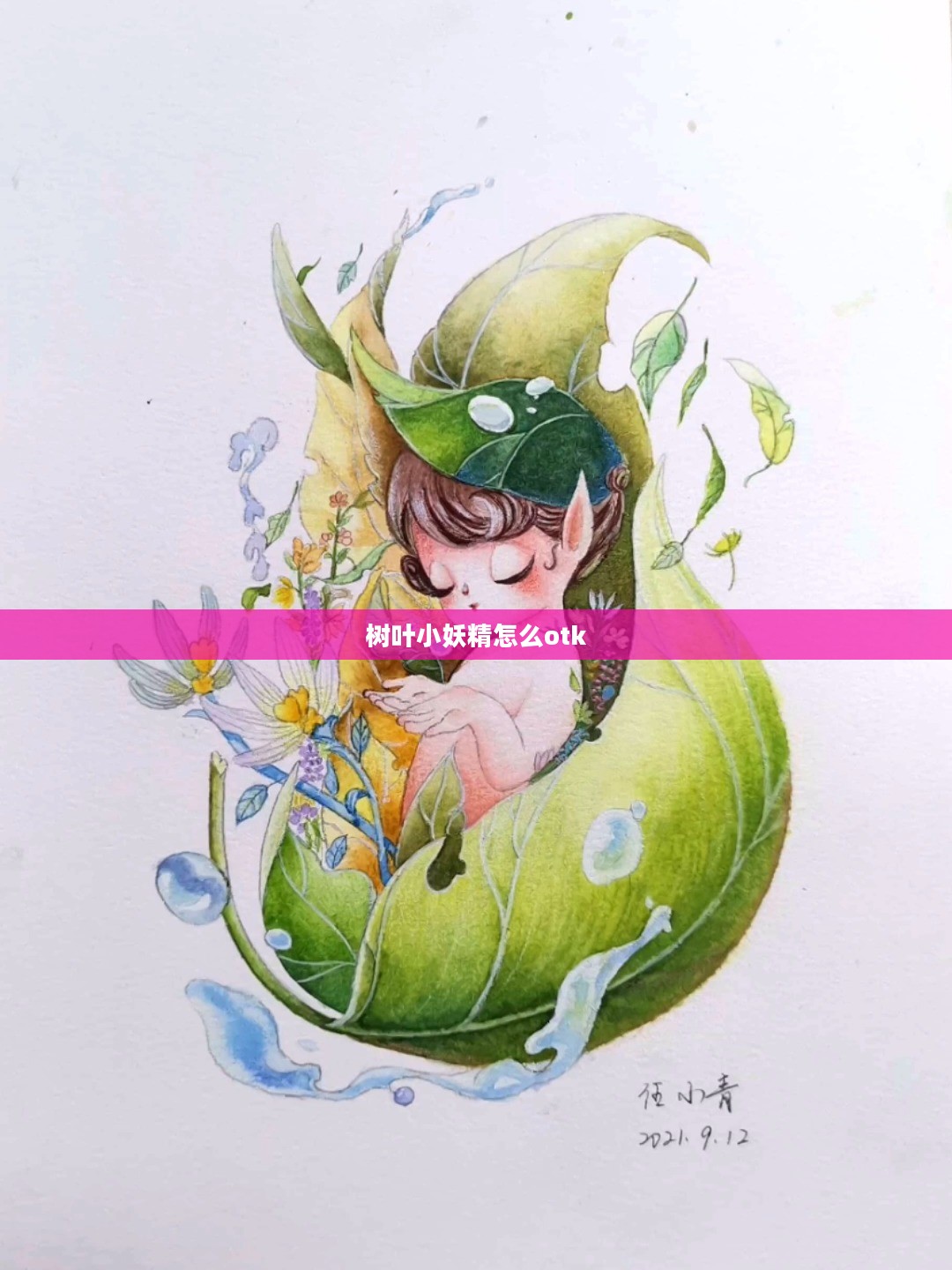 树叶小妖精：神秘传说与家居营造指南