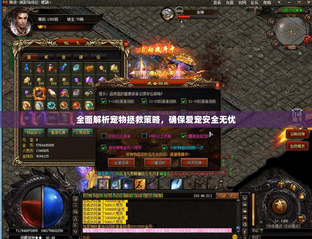 全面解析宠物拯救策略，确保爱宠安全无忧