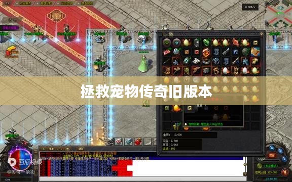 全面解析宠物拯救策略，确保爱宠安全无忧