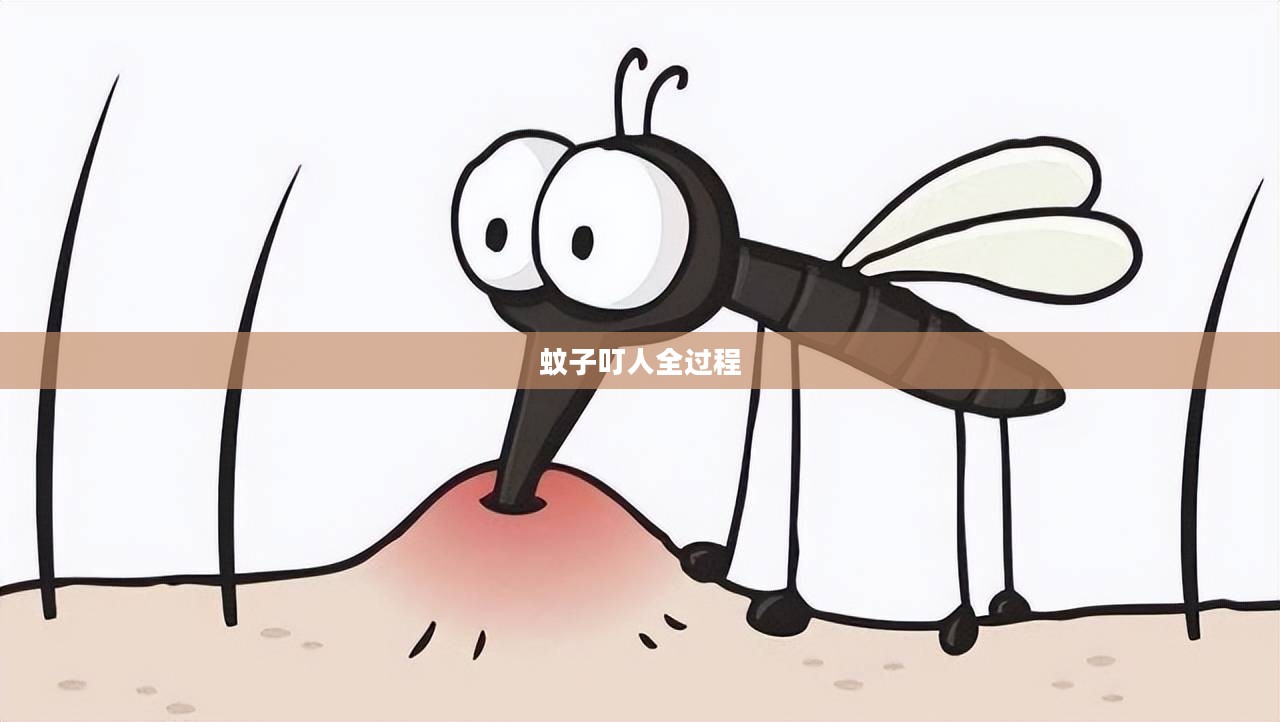 蚊子叮人与蚂蚁庄园：生态平衡与防蚊策略解析