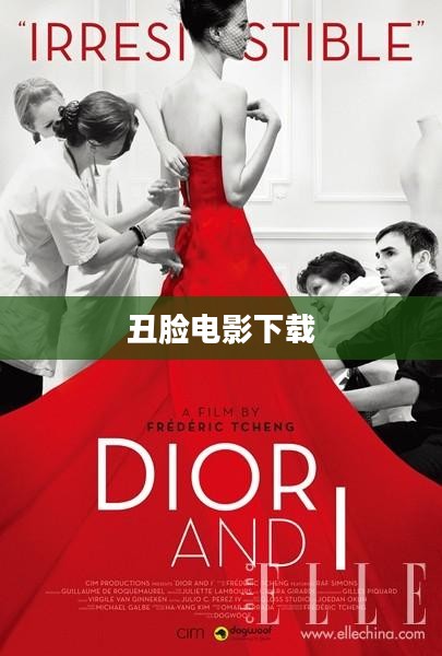 丑脸评分中文版：原理与应用深度解析