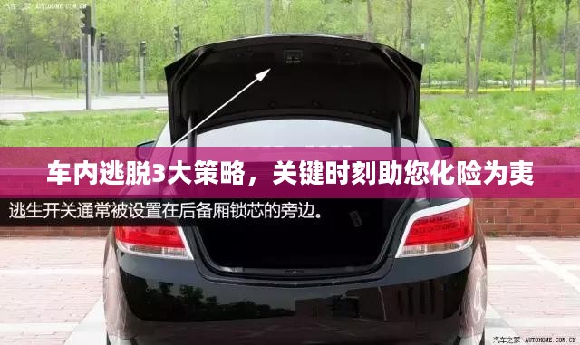 车内逃脱3大策略，关键时刻助您化险为夷