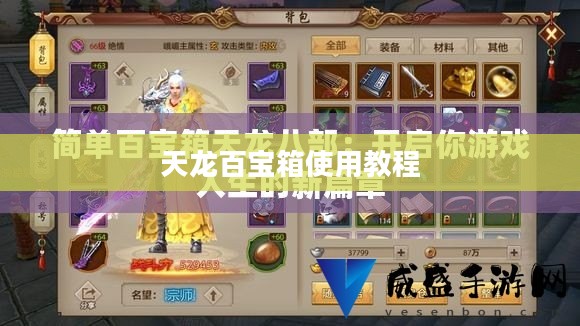 天龙百宝箱，珍稀道具获取与高效玩法深度解析