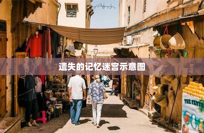 迷失与找回：深入探索遗失的记忆迷宫