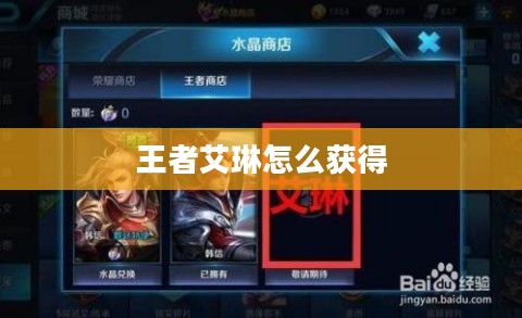 艾琳的获取方法与技巧解析
