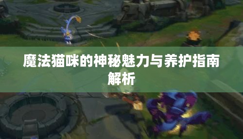 魔法猫咪的神秘魅力与养护指南解析
