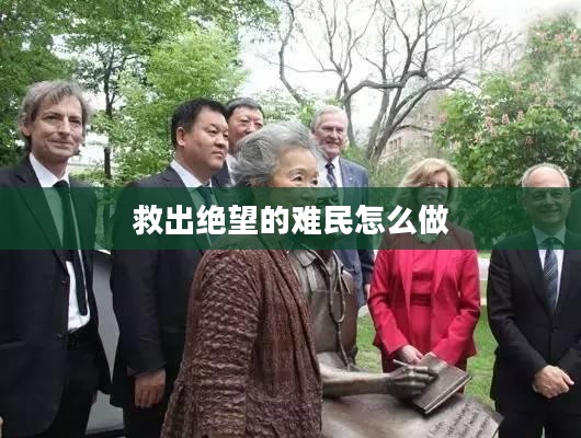 有效救出绝望难民：策略与成功案例分析