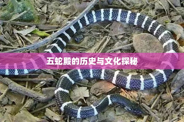 五蛇殿的历史与文化探秘