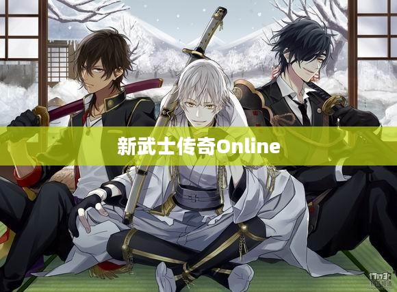 《新武士传奇》——传统与现代的碰撞与融合解析