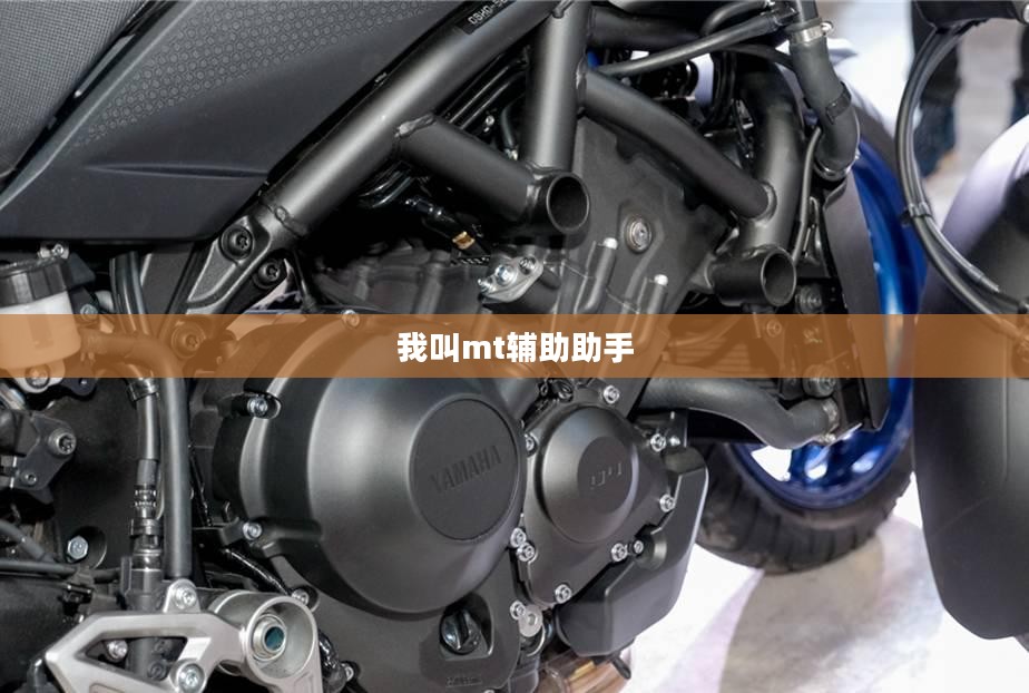 我叫MT辅助安卓版，轻松提升游戏体验的利器
