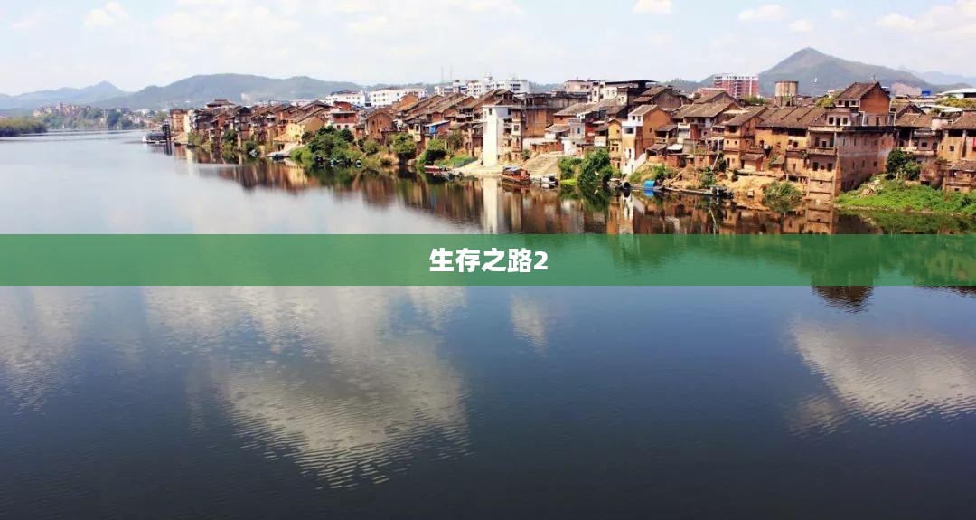 数字化时代生存之路：关键技能与策略解析