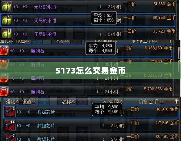 5173交易流程详解与注意事项