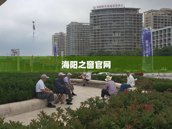海阳之窗，开启智能化生活新篇章