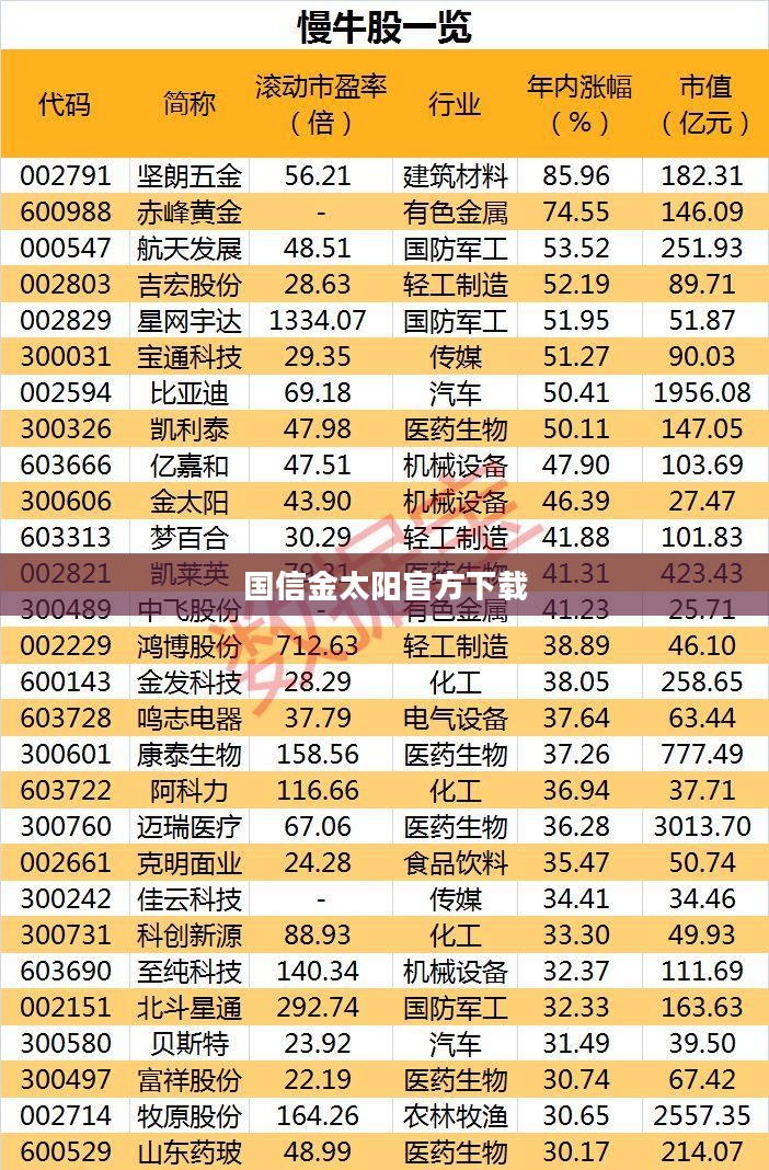国信金太阳软件下载与安装指南