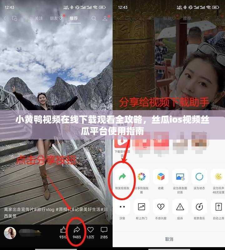 小黄鸭视频在线下载观看全攻略，丝瓜ios视频丝瓜平台使用指南