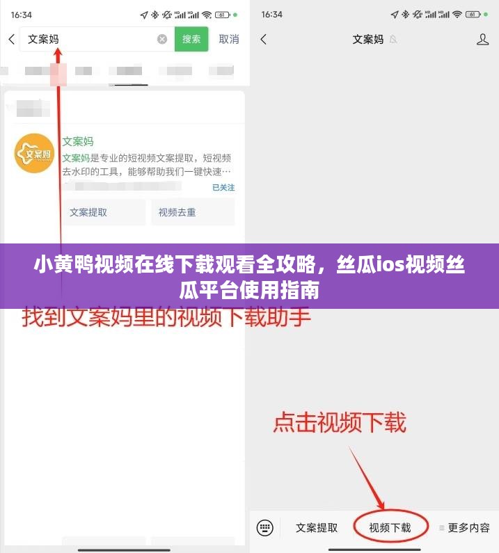 小黄鸭视频在线下载观看全攻略，丝瓜ios视频丝瓜平台使用指南