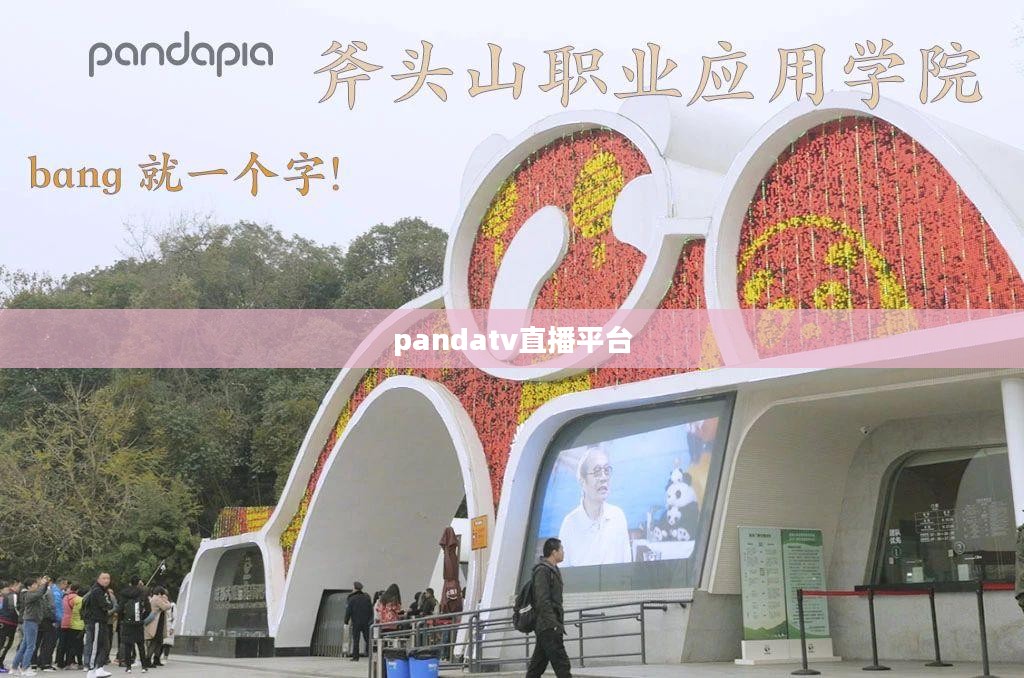 Panda TV直播平台,高清互动直播体验解析