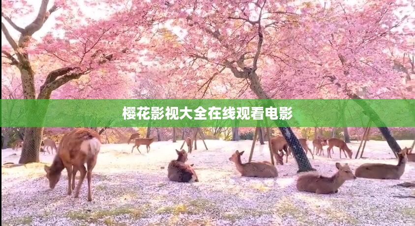 樱花影视：创新与传承相结合的影视制作先锋