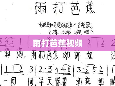芭蕉视频平台运营策略与内容创作深度解析