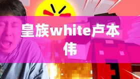 皇族white战队成功之道，战术策略与团队精神解析