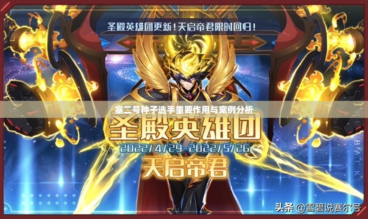 塞二号种子选手重要作用与案例分析