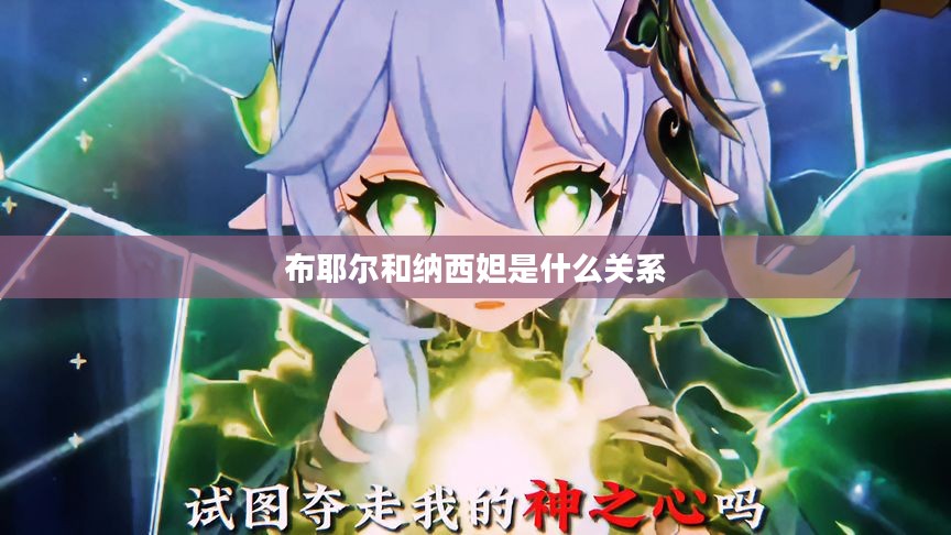 布耶尔品牌历史与产品特点深度解析