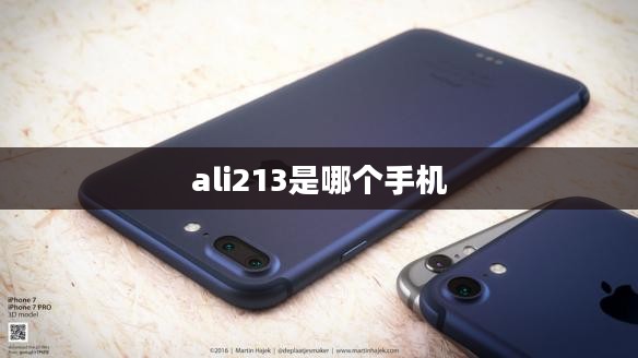 Ali213游戏下载平台,提升用户体验与SEO优化策略解析