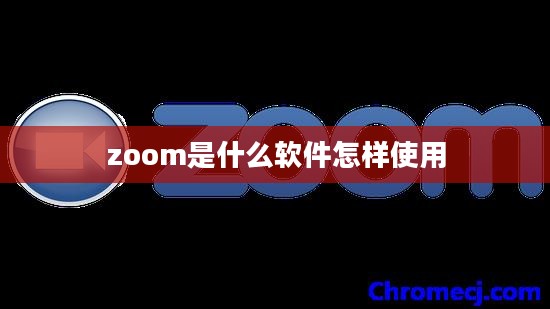 深入解析Zoom软件的功能与优势