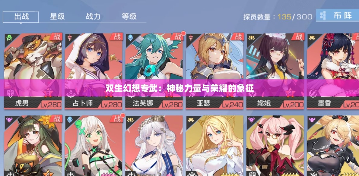 双生幻想专武：神秘力量与荣耀的象征