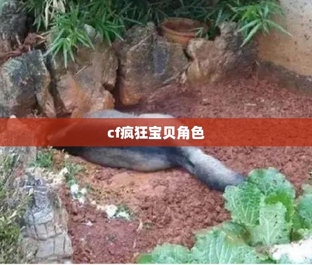 CF疯狂宝贝角色深度解析，技能特点与游戏体验分享