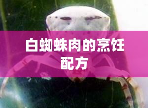 白蜘蛛肉的营养价值与烹饪方法探究